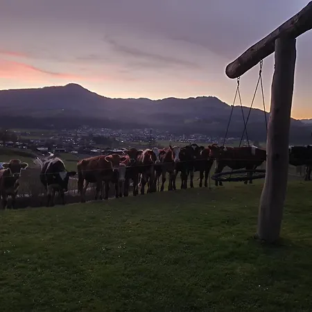 Griesbachhof-wilder Kaiser شقة *