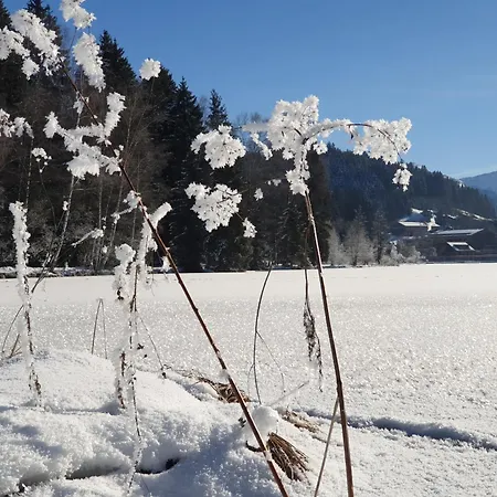 شقة Griesbachhof-wilder Kaiser اوبرندورف ان تيرول