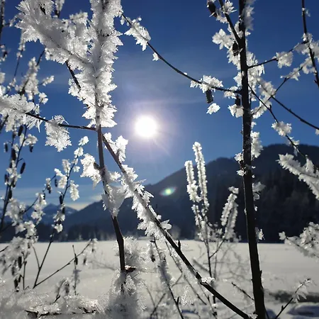 Griesbachhof-wilder Kaiser