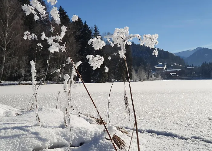 Appartamento Griesbachhof-wilder Kaiser Oberndorf in Tirol