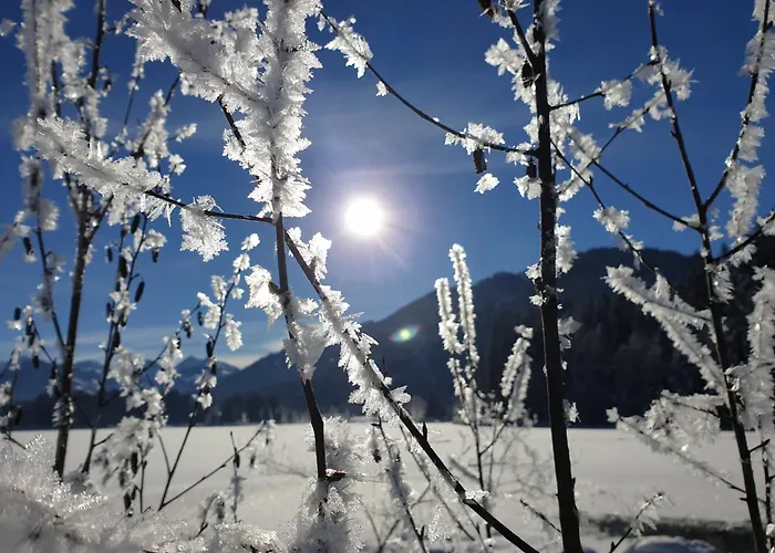 Griesbachhof-wilder Kaiser