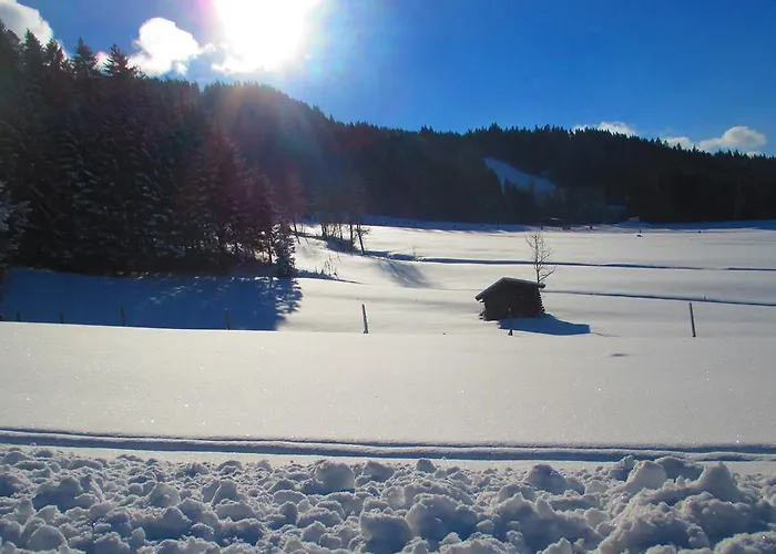 Appartamento Griesbachhof-wilder Kaiser Oberndorf in Tirol