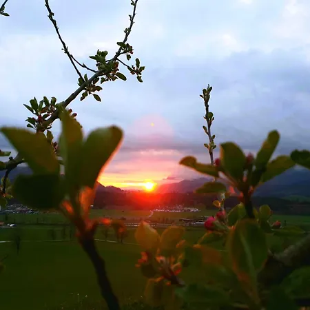 Griesbachhof-wilder Kaiser *