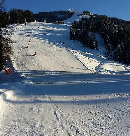 Griesbachhof-wilder Kaiser *